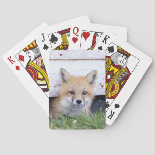 Cutest Baby Animals Red Fox Kit Peeking Poker Cards