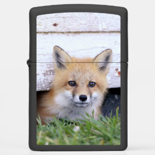Cutest Baby Animals   Red Fox Kit Peeking Zippo Lighter