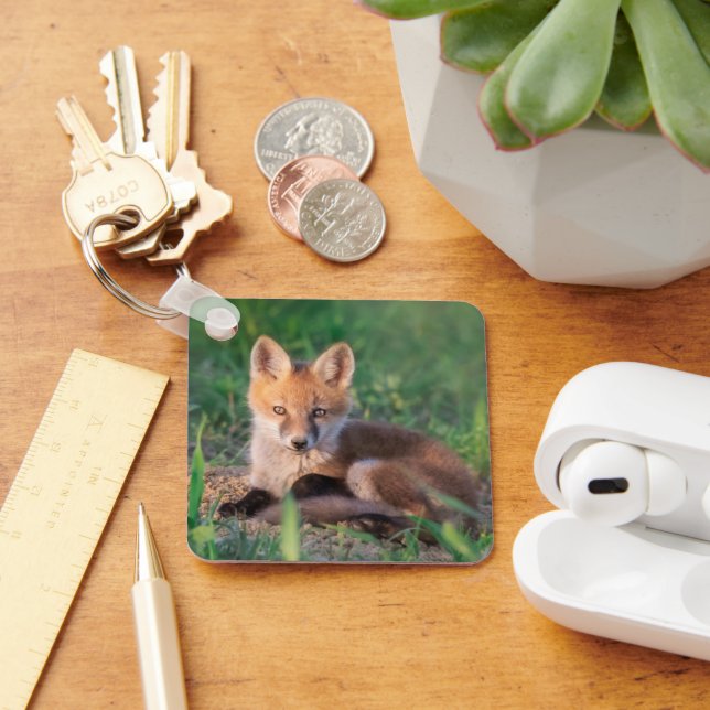 Cutest Baby Animals | Red Fox Kit Relaxing Keychain (Desk)