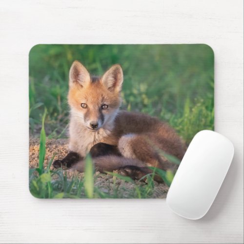 Cutest Baby Animals  Red Fox Kit Relaxing Mouse Pad