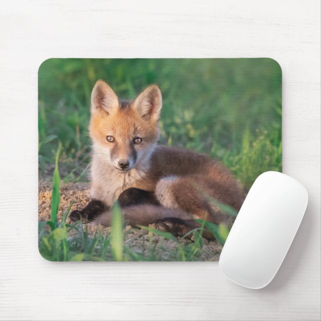 Cutest Baby Animals | Red Fox Kit Relaxing Mouse Pad (With Mouse)