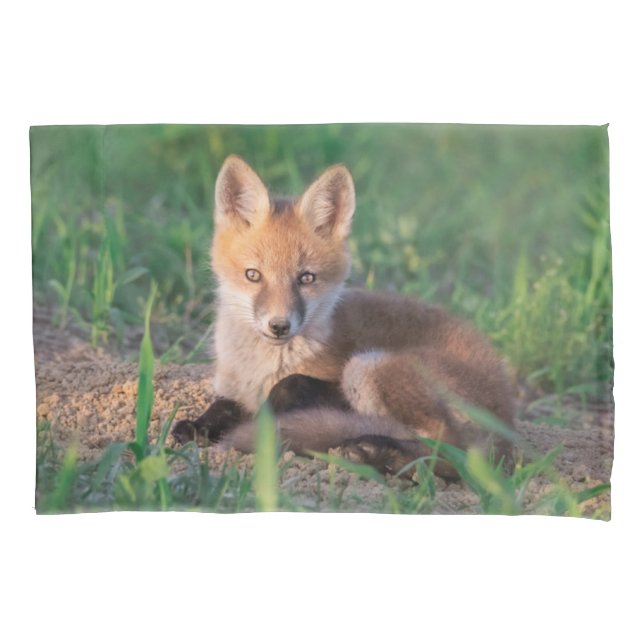 Cutest Baby Animals | Red Fox Kit Relaxing Pillow Case (Front)