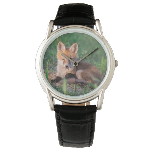 Cutest Baby Animals | Red Fox Kit Relaxing Watch (Front)