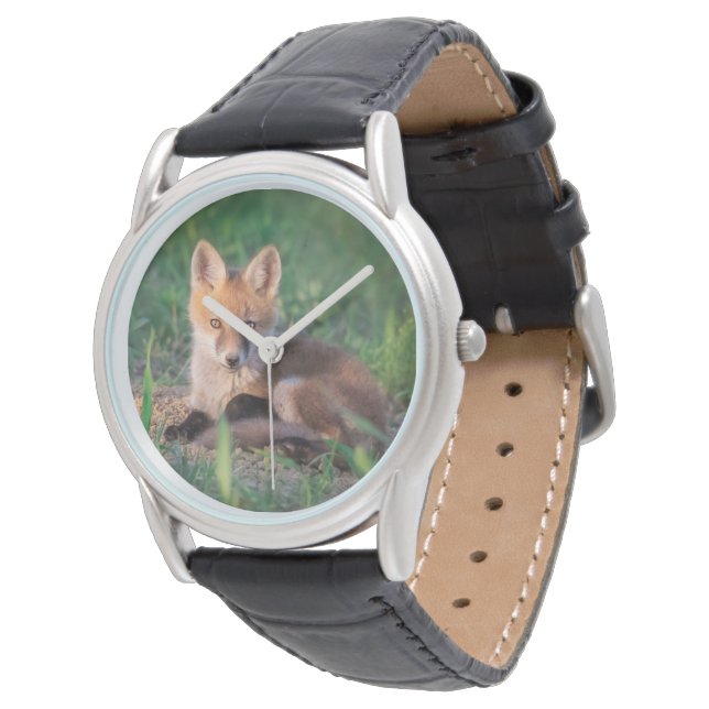 Cutest Baby Animals | Red Fox Kit Relaxing Watch (Angled)