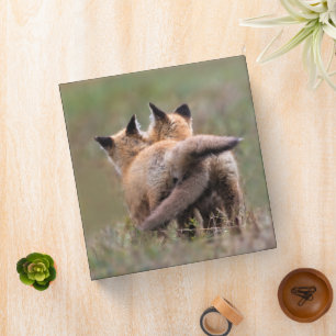 Cutest Baby Animals   Red Fox Kits Locking Tails 3 Ring Binder