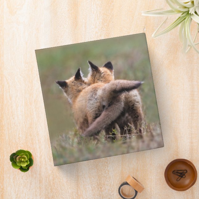 Cutest Baby Animals | Red Fox Kits Locking Tails 3 Ring Binder (In Situ)