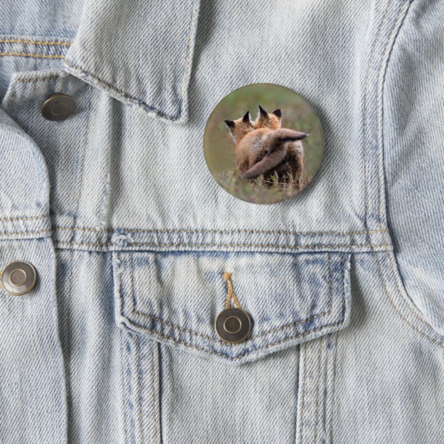 Cutest Baby Animals | Red Fox Kits Locking Tails Button (In Situ)