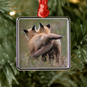 Cutest Baby Animals   Red Fox Kits Locking Tails Metal Ornament