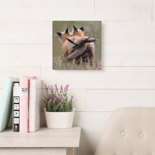 Cutest Baby Animals | Red Fox Kits Locking Tails Square Wall Clock (Reading Room)