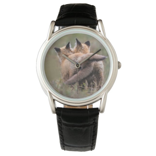Cutest Baby Animals | Red Fox Kits Locking Tails Watch (Front)