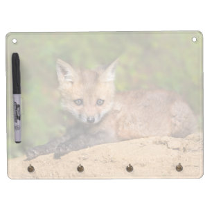 Cutest Baby Animals Red Fox Pup Dry Erase Board With Keychain Holder