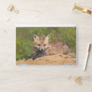 Cutest Baby Animals Red Fox Pup HP Laptop Skin
