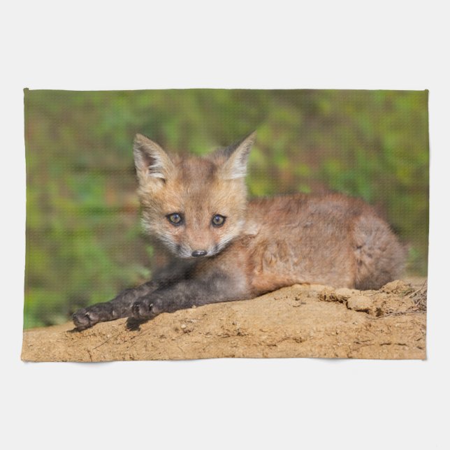Cutest Baby Animals | Red Fox Pup Kitchen Towel (Horizontal)