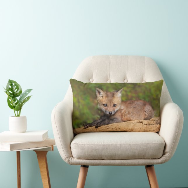 Cutest Baby Animals | Red Fox Pup Lumbar Pillow (Chair)