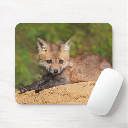 Cutest Baby Animals  Red Fox Pup Mouse Pad