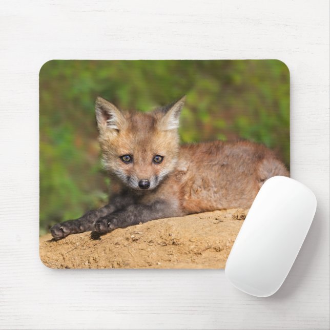 Cutest Baby Animals | Red Fox Pup Mouse Pad (With Mouse)