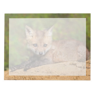 Cutest Baby Animals Red Fox Pup Notepad