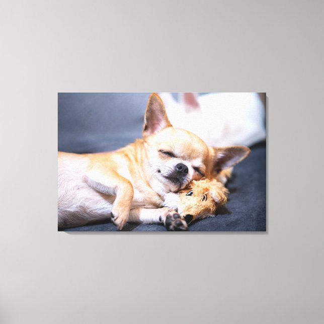Cutest Baby Animals | Red-haired Chihuahua Dog Canvas Print (Front)
