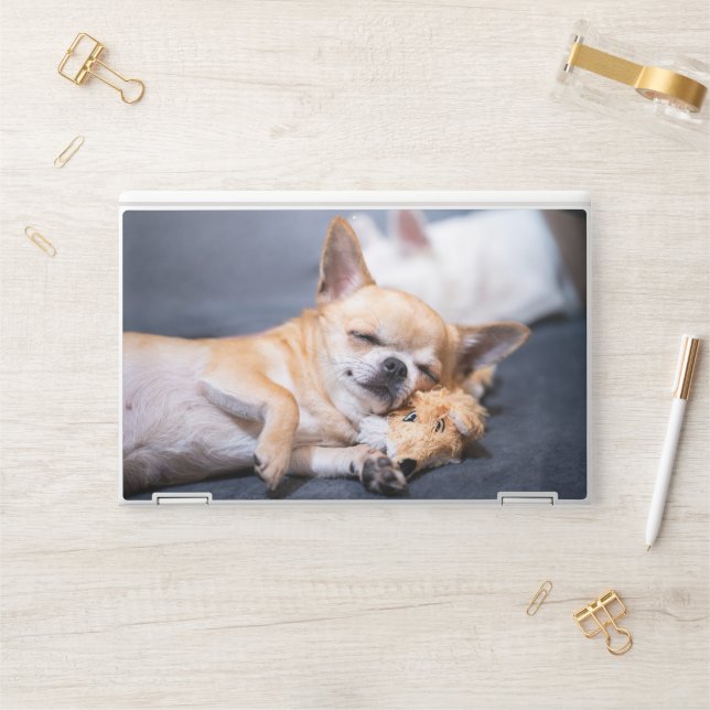 Cutest Baby Animals | Red-haired Chihuahua Dog HP Laptop Skin (Desk)