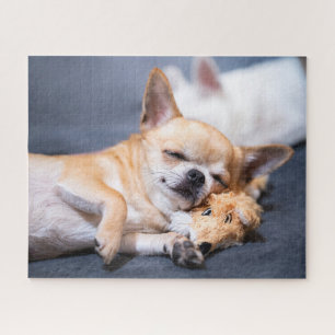 Cutest Baby Animals Red-haired Chihuahua Dog Jigsaw Puzzle