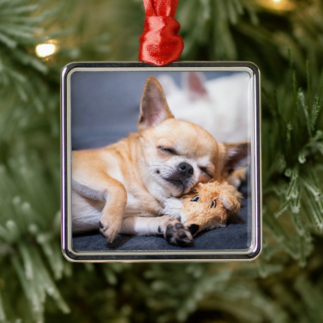 Cutest Baby Animals | Red-haired Chihuahua Dog Metal Ornament (Tree)