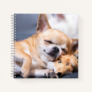 Cutest Baby Animals Red-haired Chihuahua Dog Notebook