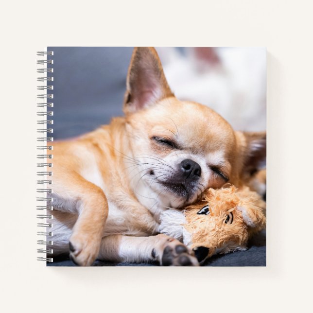 Cutest Baby Animals | Red-haired Chihuahua Dog Notebook (Front)