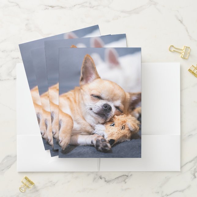 Cutest Baby Animals | Red-haired Chihuahua Dog Pocket Folder (In Situ)