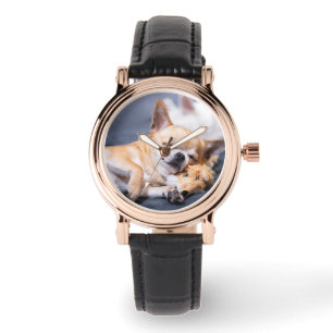 Cutest Baby Animals   Red-haired Chihuahua Dog Watch