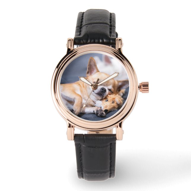 Cutest Baby Animals | Red-haired Chihuahua Dog Watch (Front)