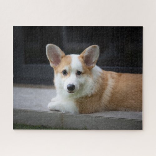 Cutest Baby Animals  Relaxing Corgi Puppy Jigsaw Puzzle