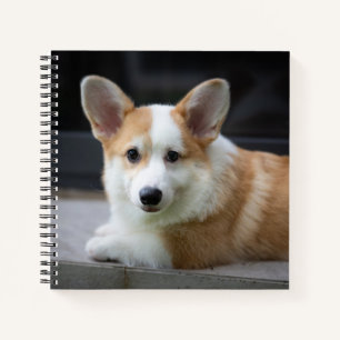 Cutest Baby Animals Relaxing Corgi Puppy Notebook
