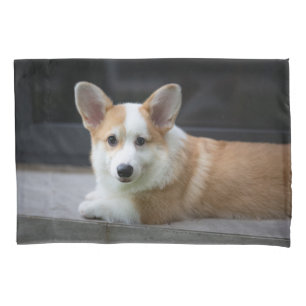 Cutest Baby Animals Relaxing Corgi Puppy Pillow Case
