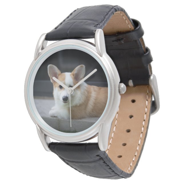 Cutest Baby Animals | Relaxing Corgi Puppy Watch (Angled)