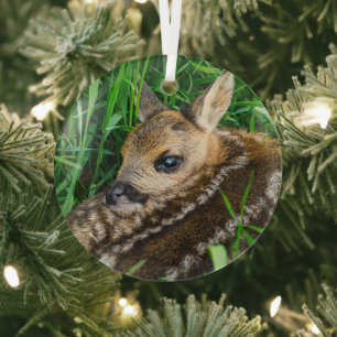 Cutest Baby Animals Roe Deer Baby Glass Ornament