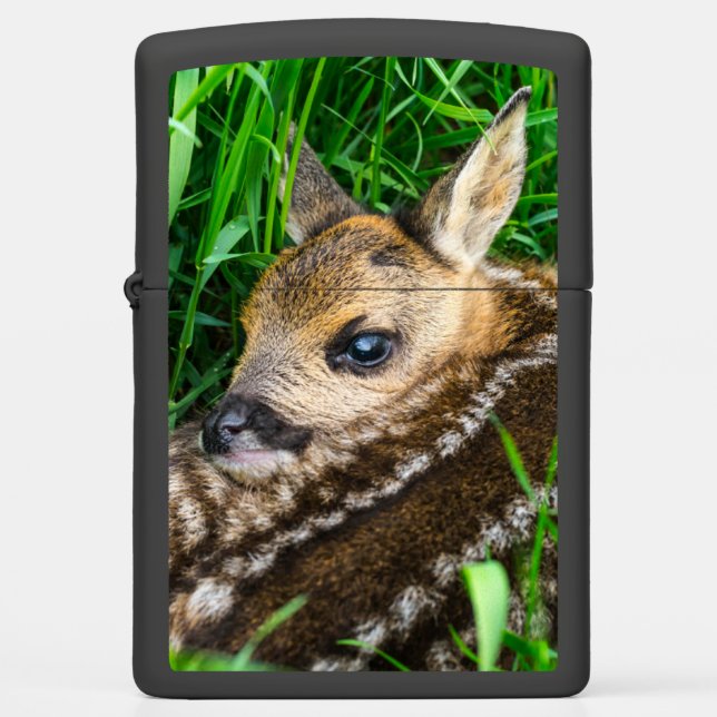 Cutest Baby Animals | Roe Deer Baby Zippo Lighter (Front)