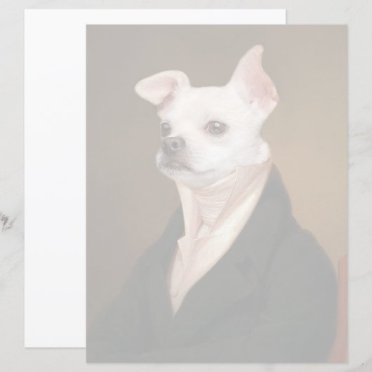Cutest Baby Animals | Royal Chihuahua Portrait (Front/Back)