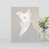Cutest Baby Animals | Royal Chihuahua Portrait (Standing Front)