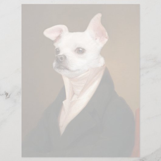 Cutest Baby Animals | Royal Chihuahua Portrait (Front)