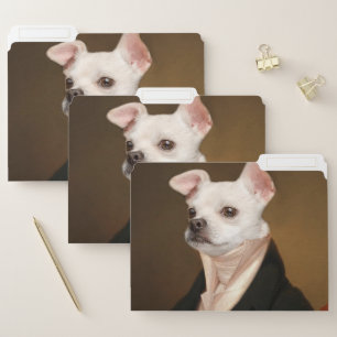Cutest Baby Animals   Royal Chihuahua Portrait File Folder