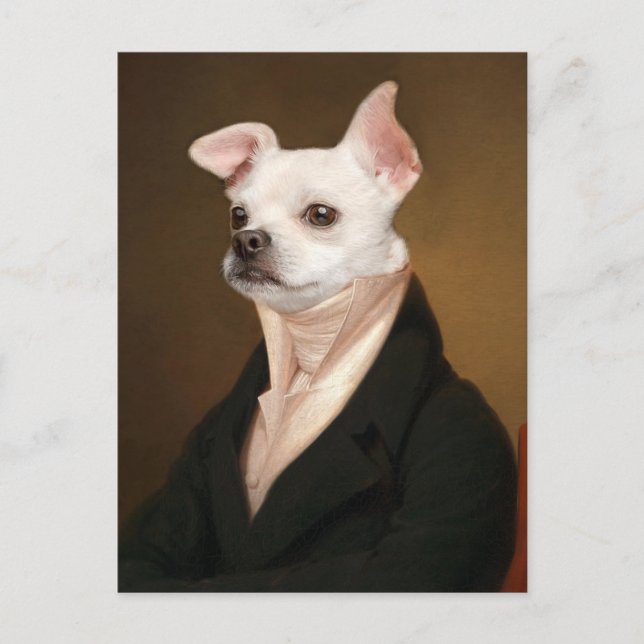 Cutest Baby Animals | Royal Chihuahua Portrait Postcard (Front)