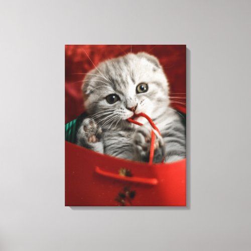 Cutest Baby Animals  Scottish Fold Kitten Canvas Print