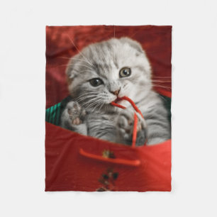 Cutest Baby Animals Scottish Fold Kitten Fleece Blanket