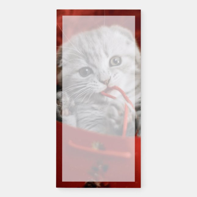 Cutest Baby Animals | Scottish Fold Kitten Magnetic Notepad (Front)