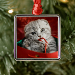 Cutest Baby Animals Scottish Fold Kitten Metal Ornament