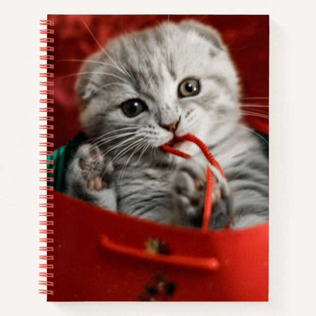 Cutest Baby Animals | Scottish Fold Kitten Notebook (Front)