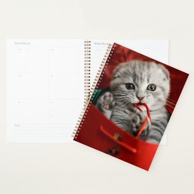 Cutest Baby Animals | Scottish Fold Kitten Planner (Display)