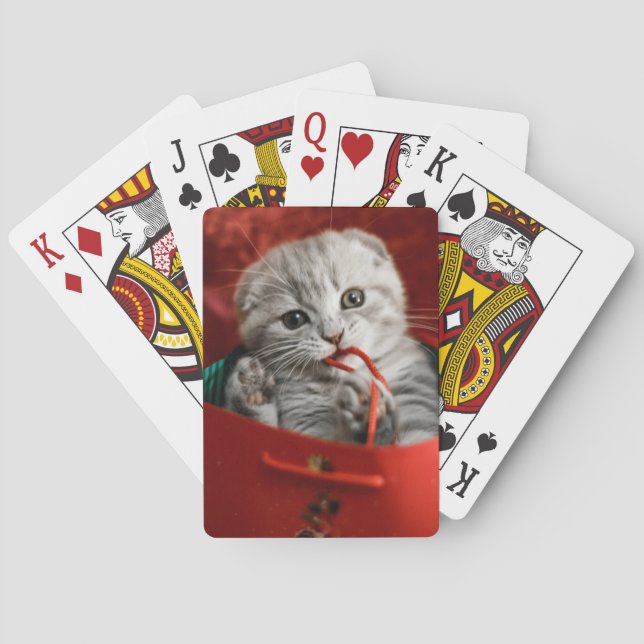 Cutest Baby Animals | Scottish Fold Kitten Poker Cards (Back)