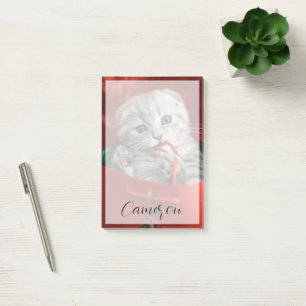 Cutest Baby Animals Scottish Fold Kitten Post-it Notes