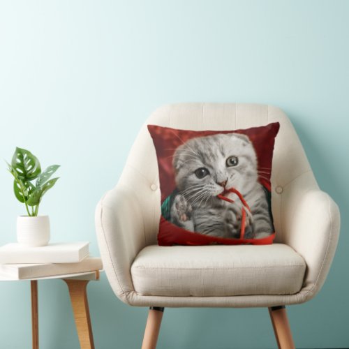 Cutest Baby Animals  Scottish Fold Kitten Throw Pillow